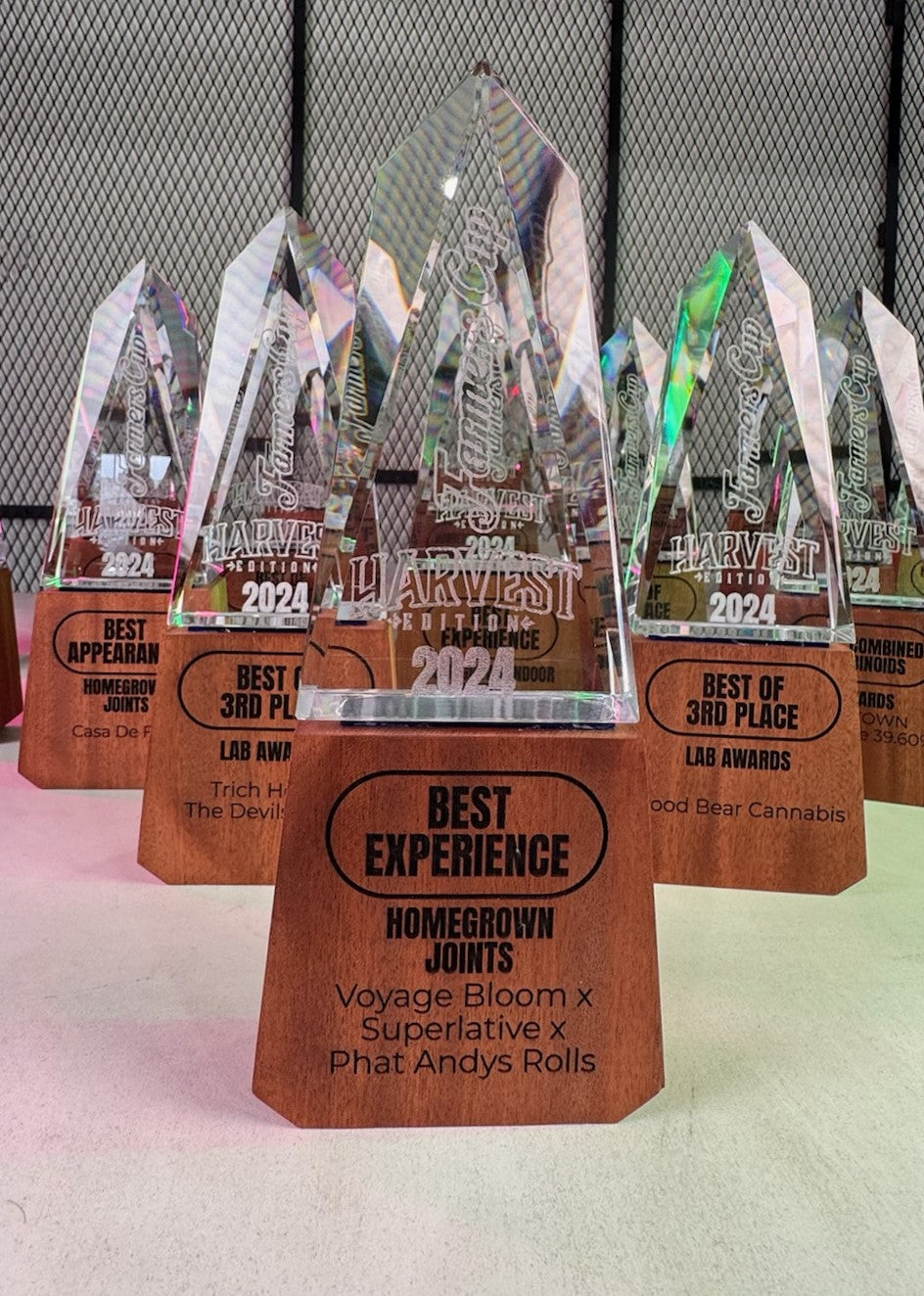 Wood & Glass Trophies