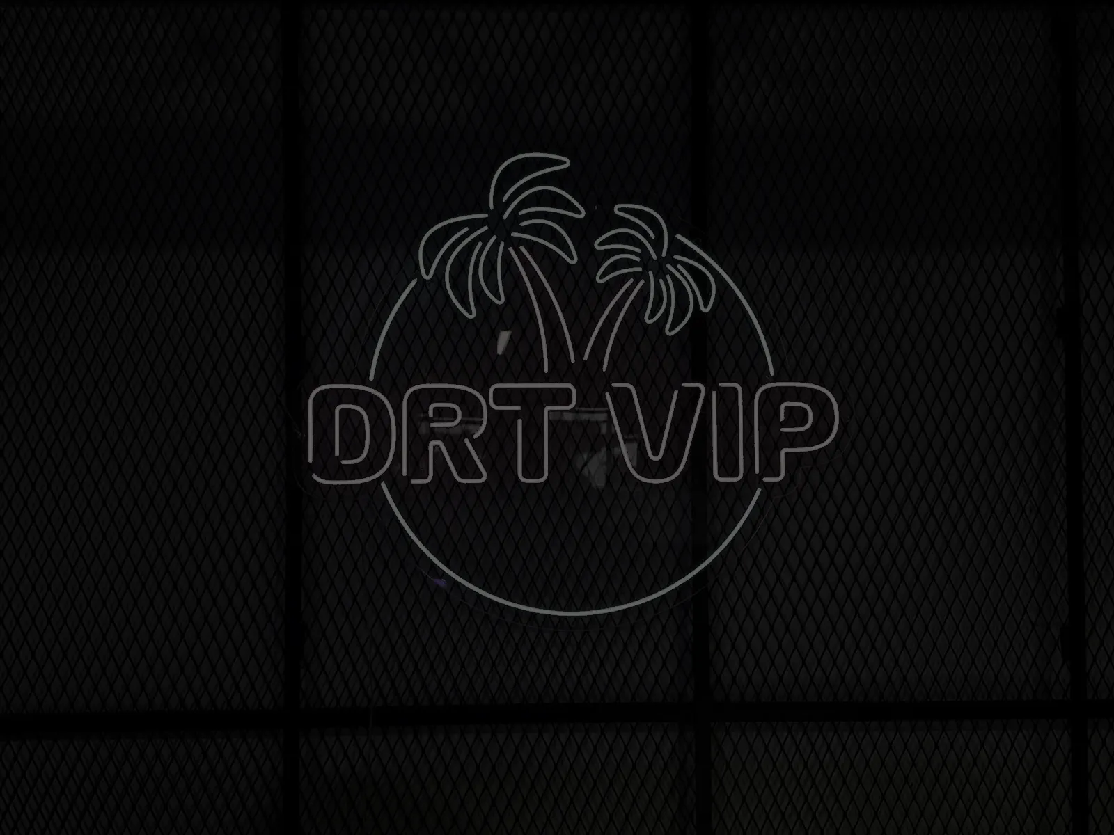 LED neon sign reading DRT VIP, with two palm trees inside a circle, on a mesh wall